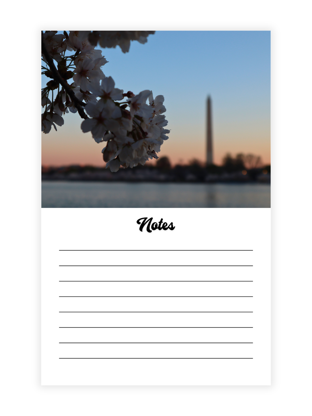 Washington D.C. Cherry Blossoms Photography 2027 Wall Calendar - Wholesale