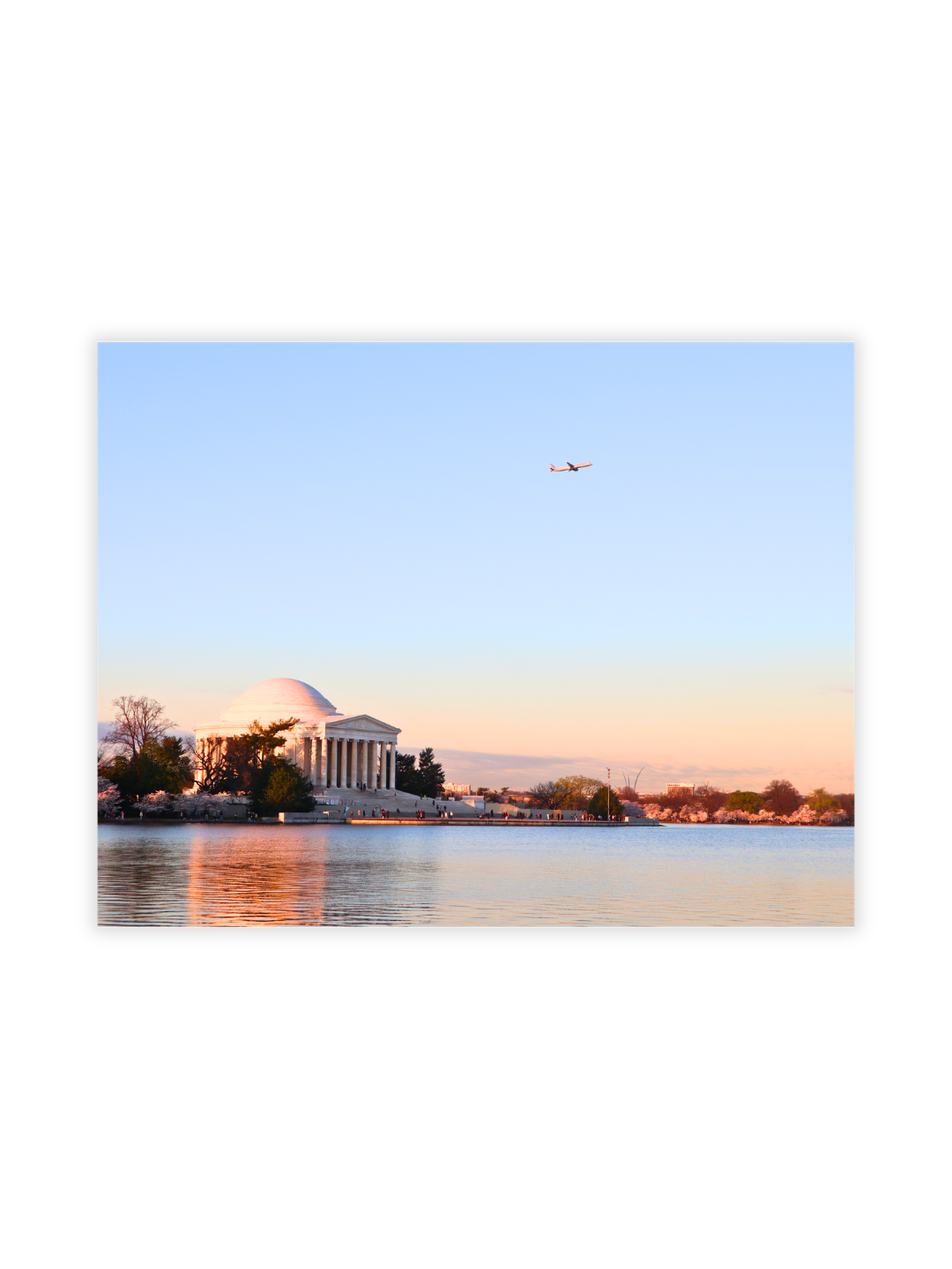 Photography Prints - Washington D.C. Cherry Blossoms - Wholesale