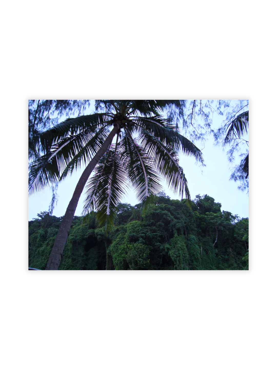Photography Prints - Krabi - Wholesale