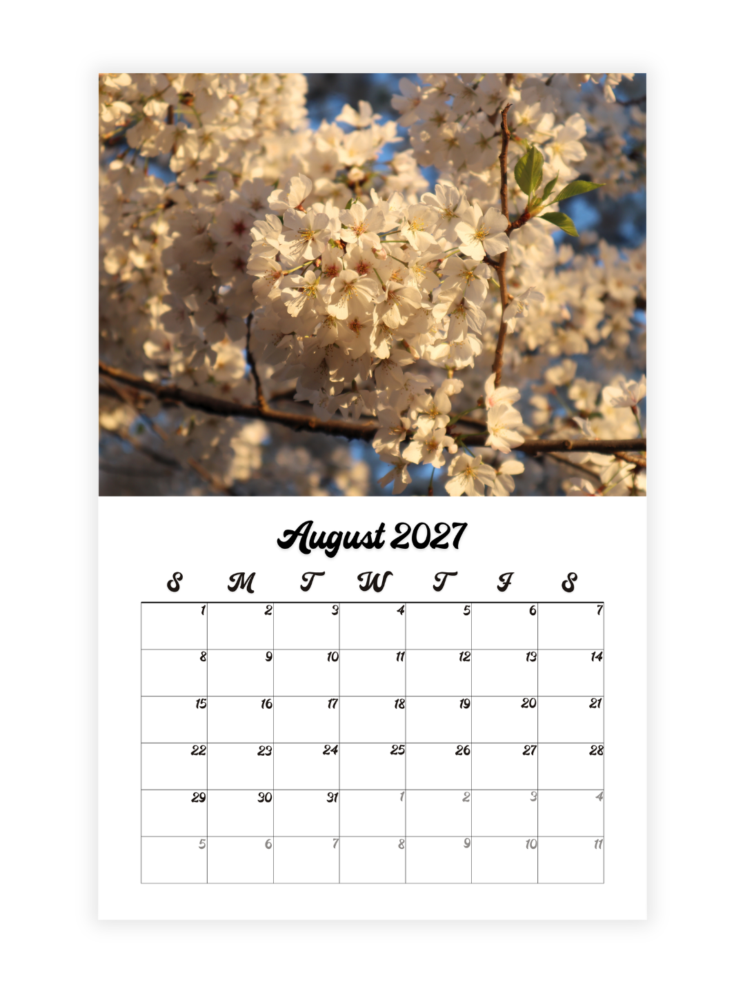 Washington D.C. Cherry Blossoms Photography 2027 Wall Calendar - Wholesale