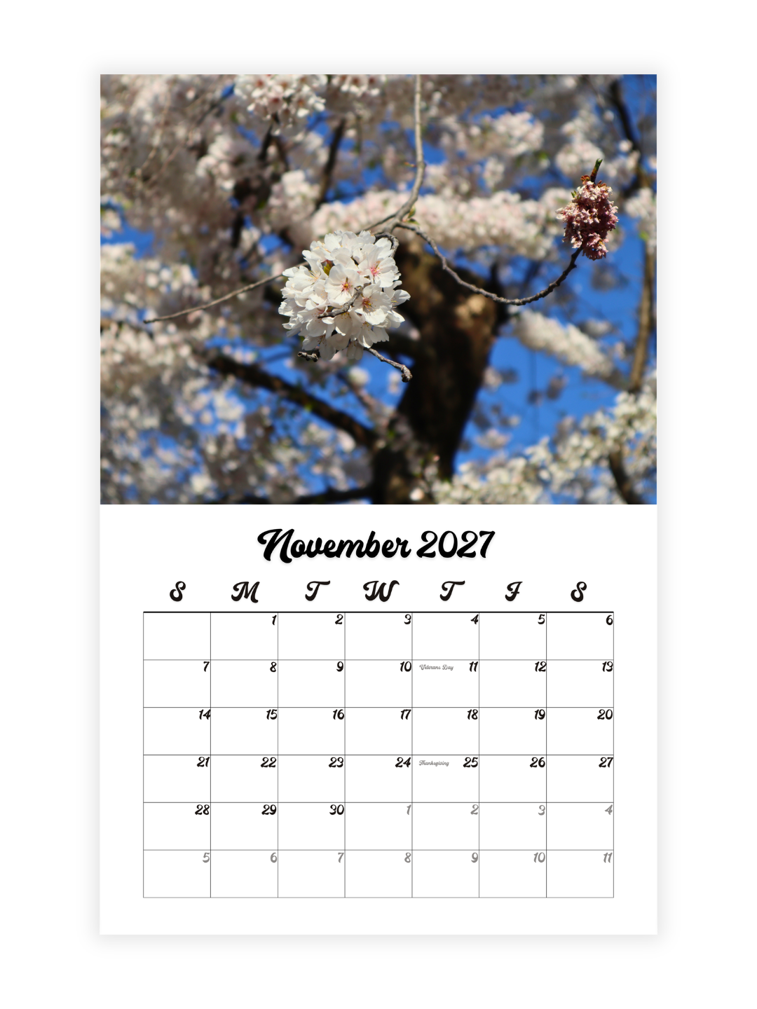 Washington D.C. Cherry Blossoms Photography 2027 Wall Calendar - Wholesale