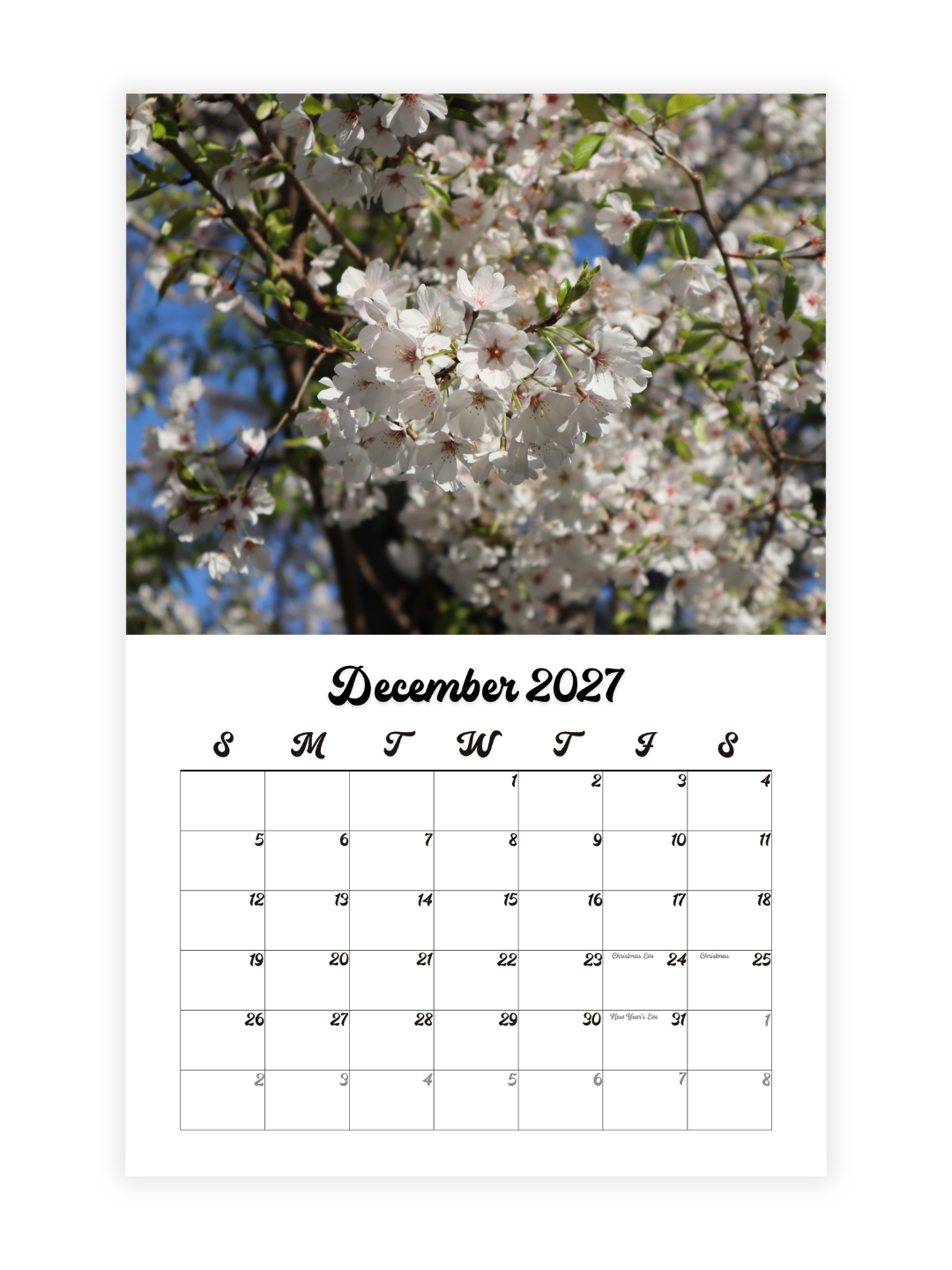 Washington D.C. Cherry Blossoms Photography 2027 Wall Calendar - Wholesale